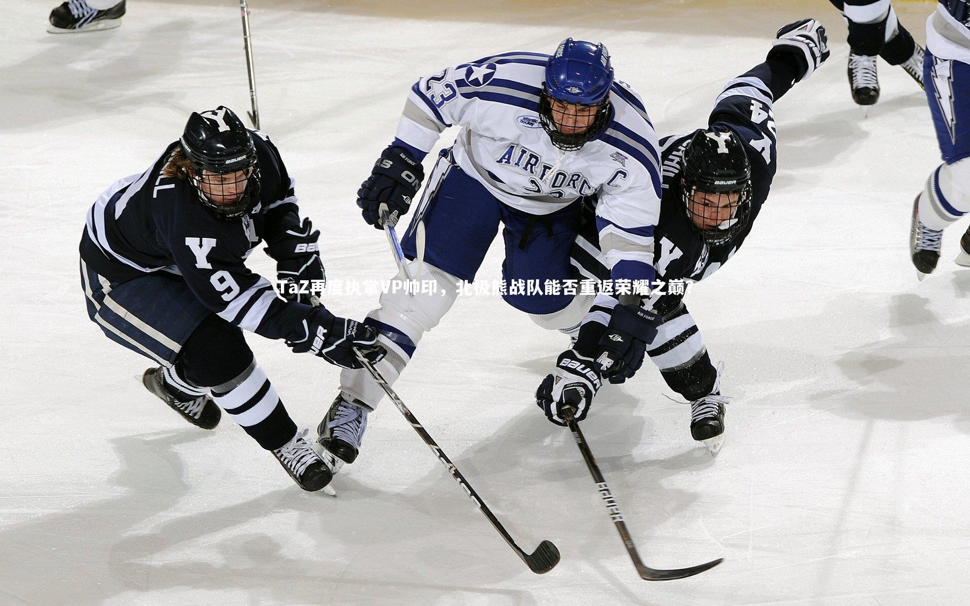 【九游体育】TaZ再度执掌VP帅印，北极熊战队能否重返荣耀之巅？